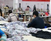 泉州世維進(jìn)出口貿(mào)易有限公司